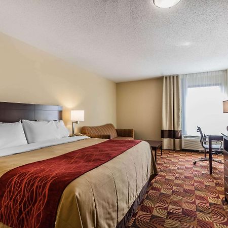 Comfort Inn & Suites Jasper Hwy 78 West Buitenkant foto